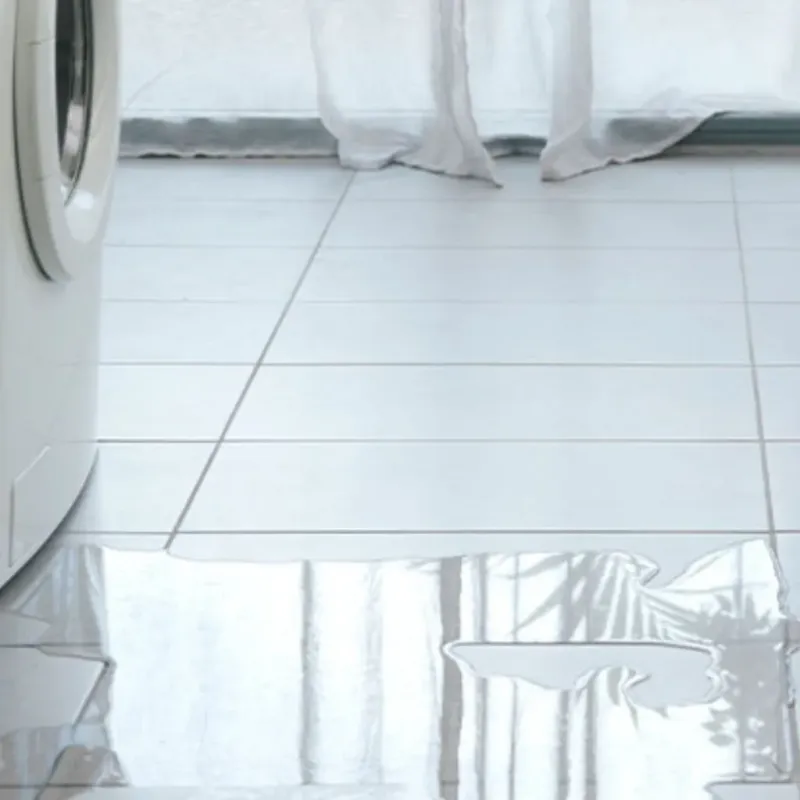 Appliance Leak Cleanup in Rockford, MN