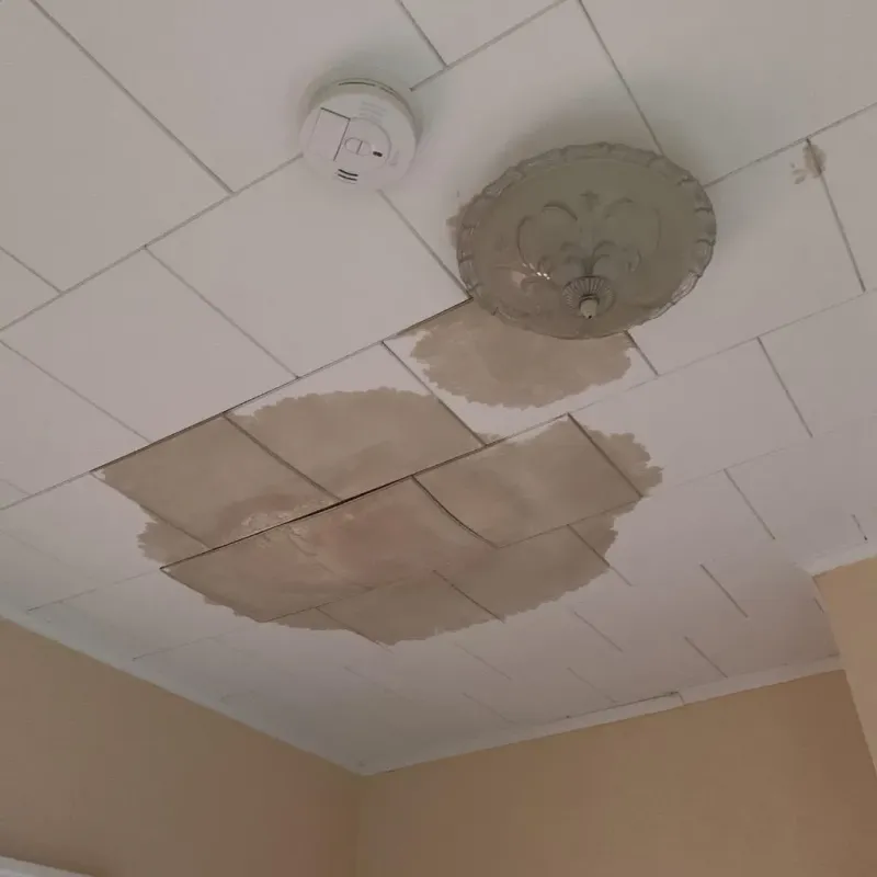 Ceiling Water Damage Repair in Rockford, MN