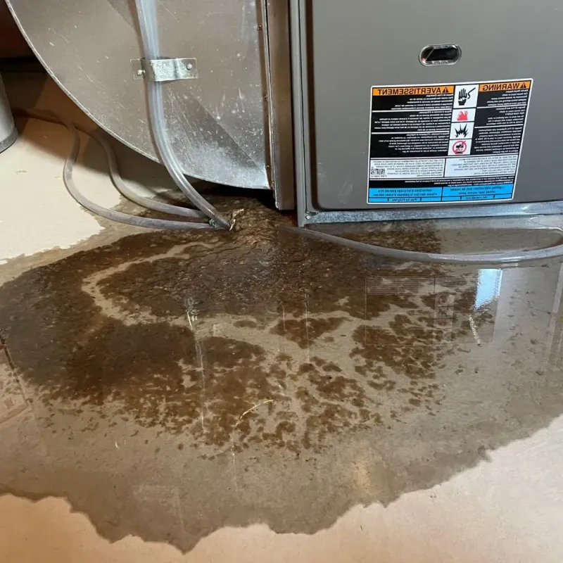 Pipe Burst and Leak Restoration in Rockford, MN